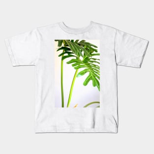 Soft Green Foliage on White Background Kids T-Shirt